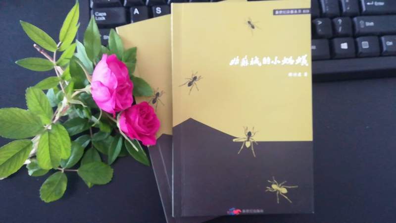 太倉知名女詩人林火火將為陽光人才網(wǎng)用戶簽名售書