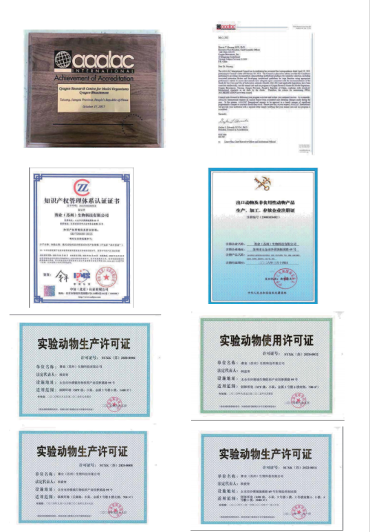 沙溪這家企業(yè)獲評(píng)“小巨人”